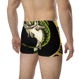 Big Fish Guy® Underwear Boxer Briefs For Men